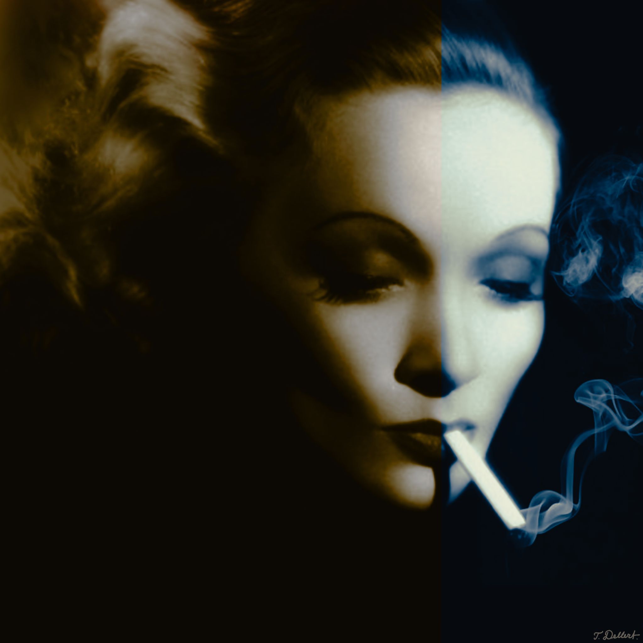 FINAQL SMOKE 41 